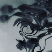 ... A Dangerous Word