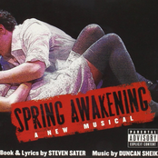 Duncan Sheik: Spring Awakening (Original Broadway Cast Recording)