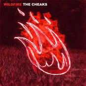 Wildfire