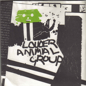 louder animal group