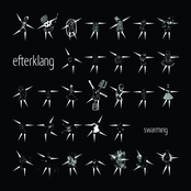 Swarming (radio Edit) by Efterklang