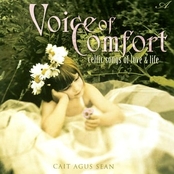 voice of comfort