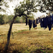 Moon Phase Ranch Sessions