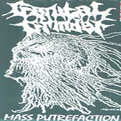 Mass Putrefaction