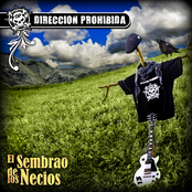 El sembrao de los necios