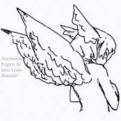 memórias frágeis de uma visão distante