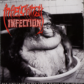 The Similarity To The Human Beings Is His Destiny