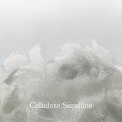 Free Design - Single