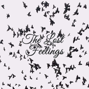 the lost feelings