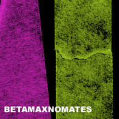 BETAMAXNOMATES.COM