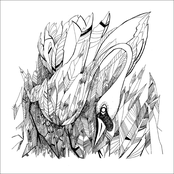 The Aesthetic Animals Album