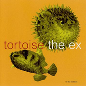 Pooh Song (christopher Robin's Nightbear) by Tortoise + The Ex