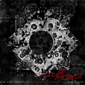 Problem With Immortality