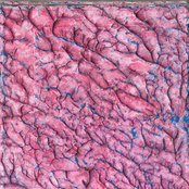 Compression, And The Process Of Turning Red