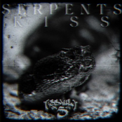 Serpents Kiss