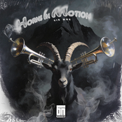 Horns In Motion