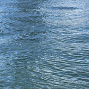 Implicity (Demo)