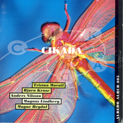 Cikada