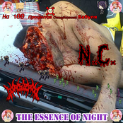 The Essence Of Night