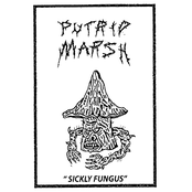 Putrid Marsh: SICKLY FUNGUS