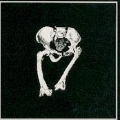 International Compilation 2