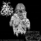 Pus Carnage/RxOxPxGxOxAxMxNx Split