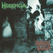 Horrificia / Raped Bitch