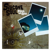 Burning Sands by Silicone Soul