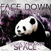 Pandas take over space