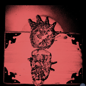 The pleasant nightmares