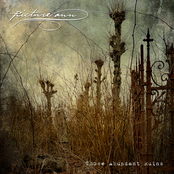 Those Abundant Ruins