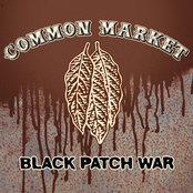 Red Leaves by Common Market