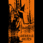 Wretched Witch Of Wormwood