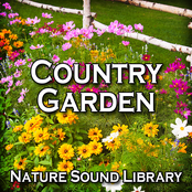 Country Garden (Nature Sounds for Deep Sleep, Relaxation, Meditation, Spa, Sound Therapy, Studying, Healing Massage, Yoga and Chakra Balancing)