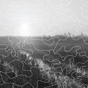 Sоundscapes of Summer