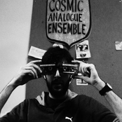 cosmic analog ensemble