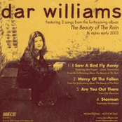 Dar Williams