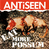 Antiseen: Eat More Possum