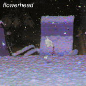 Flowerhead