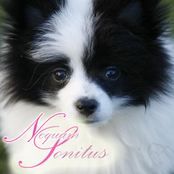 I DOnt KNOW what''ist doing her idm nto here this ';inst wher ei went tos lep i dont wkno im not me im not me oh god what amm' i eithwt is this bodiy irjyhtes ehadnsd cnsaat doid oditontkwnot hte knditondkntithothohgod plezase help me