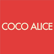 coco alice