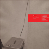 The Beginning by Slut