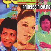 Princess Nicotine: Folk And Pop Sounds Of Myanmar (Burma) Vol. 1
