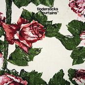 Buried Bones by Tindersticks