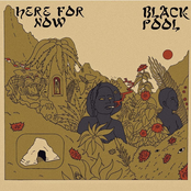 Black Pool: Here for Now