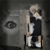Stillborn Etudes