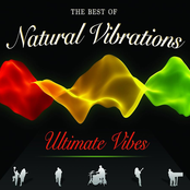 Natural Vibrations: Ultimate Vibes: The Best Of