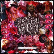 Discography 2019-2020