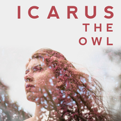 Icarus The Owl: Rearm Circuits