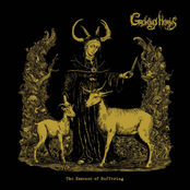 The Essence of Suffering